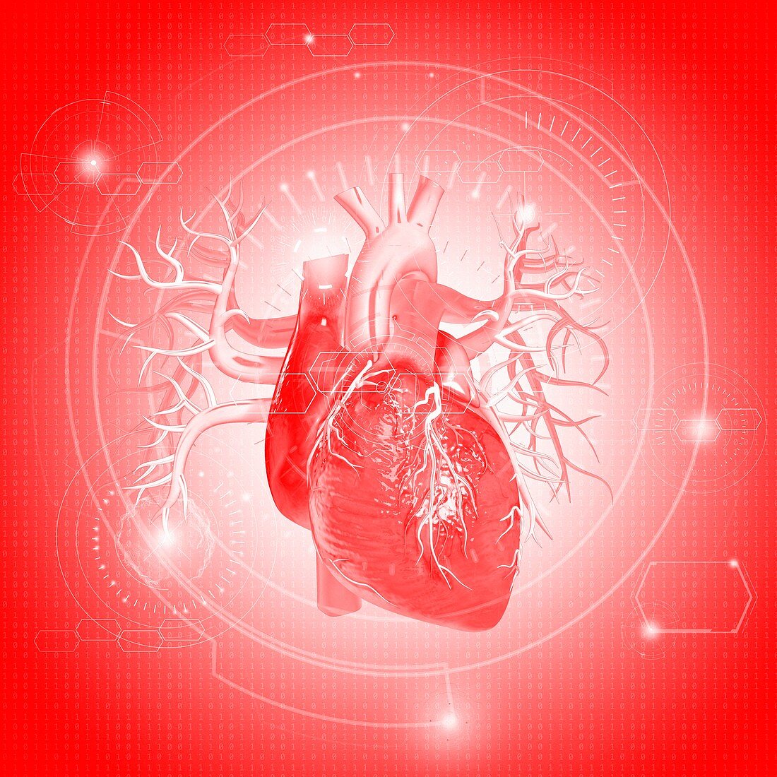 Heart against red background, illustration