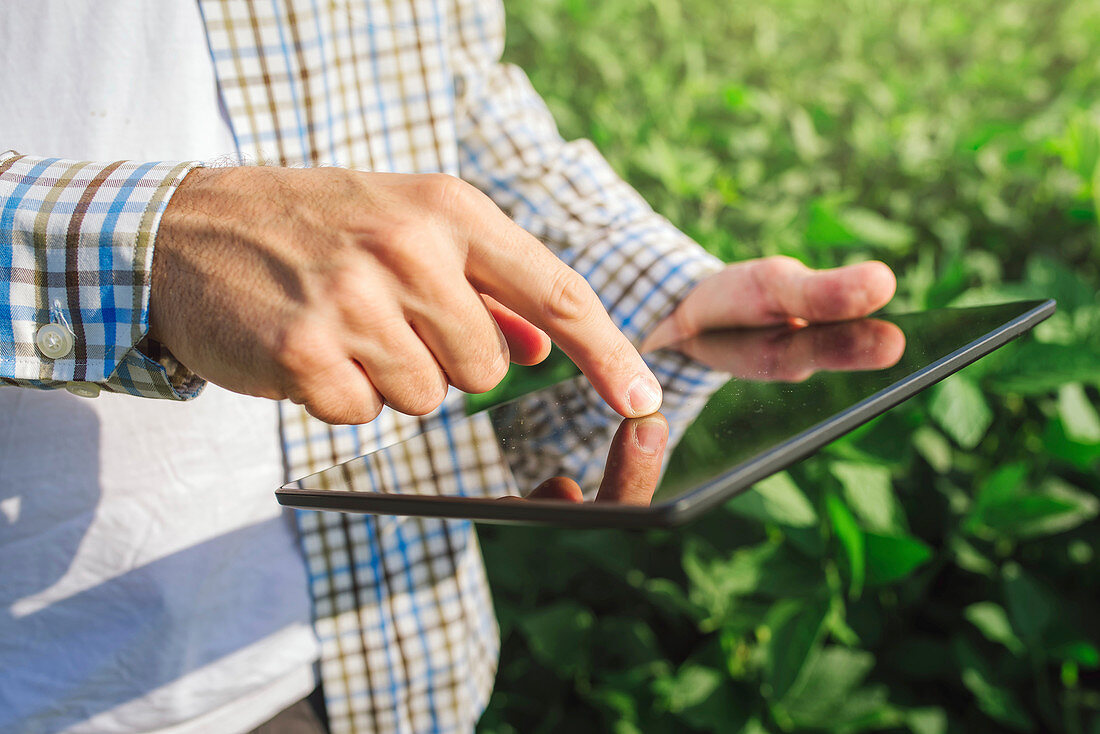 Farmer using digital tablet