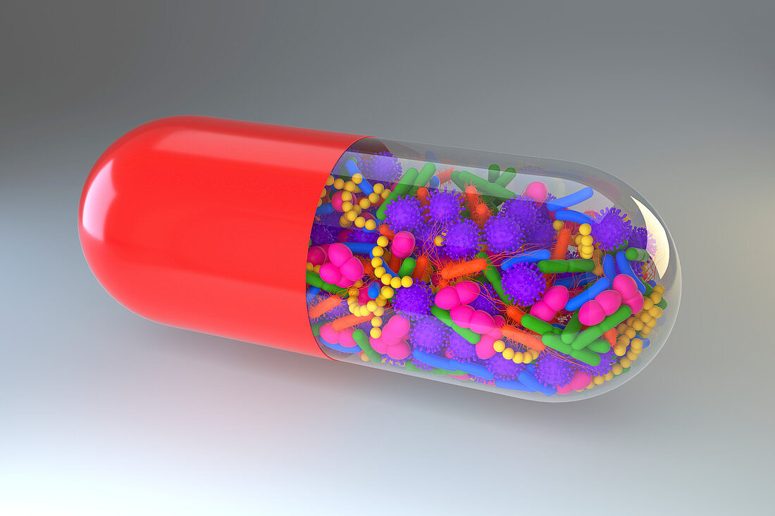 Probiotic capsule, conceptual illustration