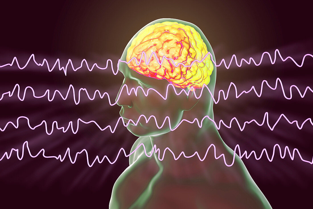 Brain and brain waves during rest, illustration