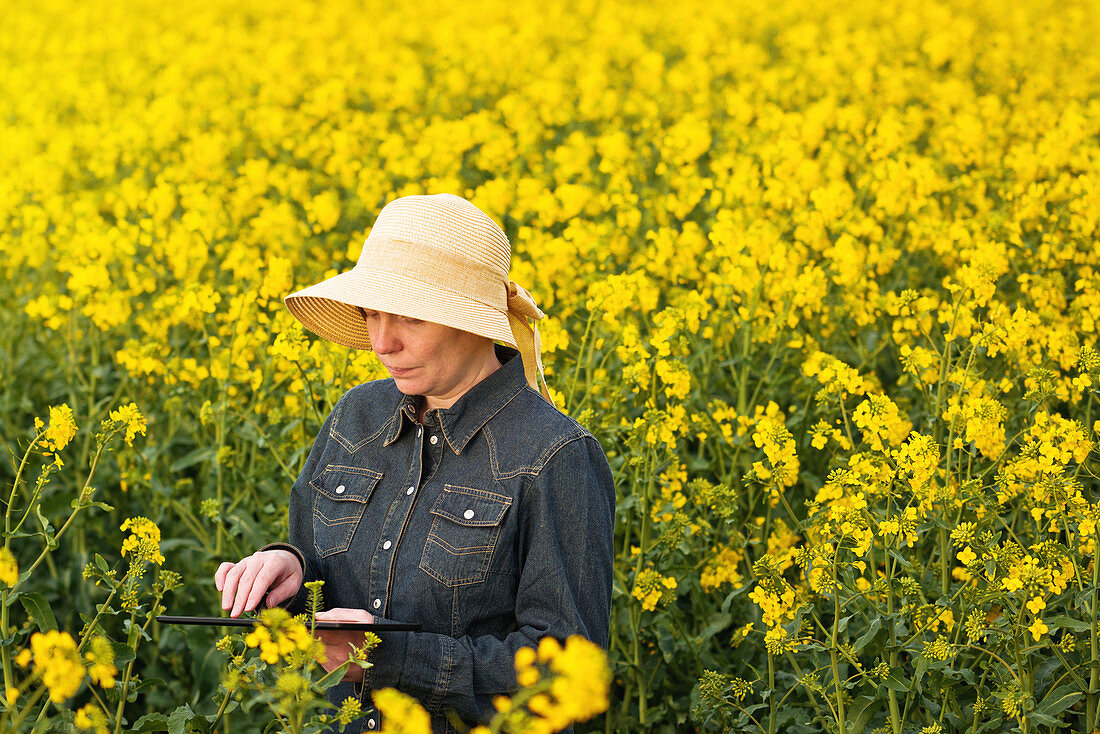 Farmer using digital tablet