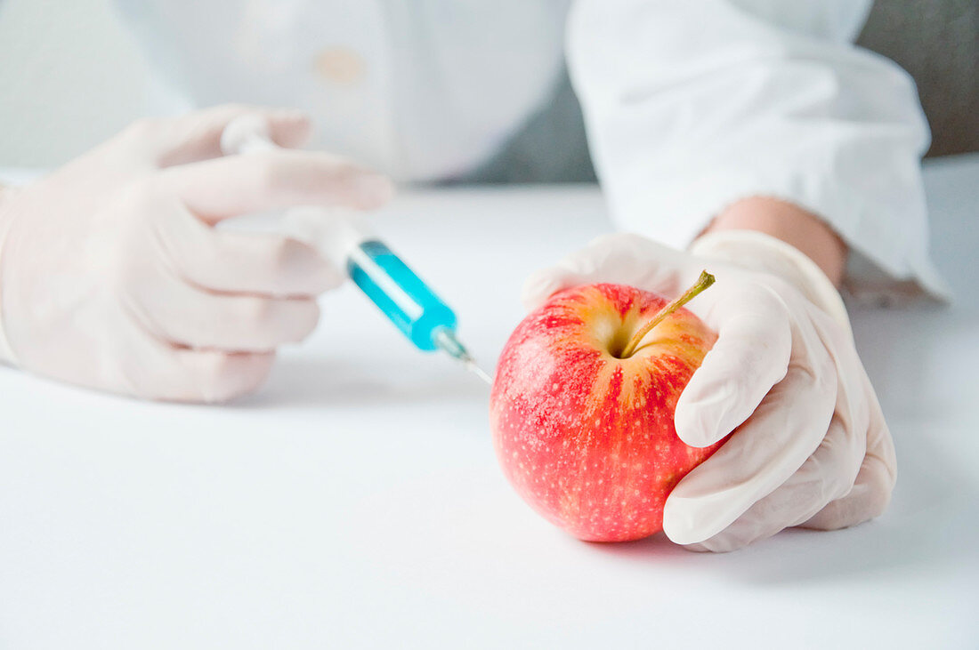 GMO apple, conceptual image