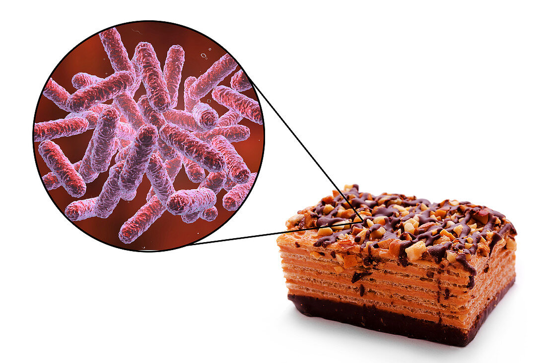 Foodborne infection, conceptual illustration