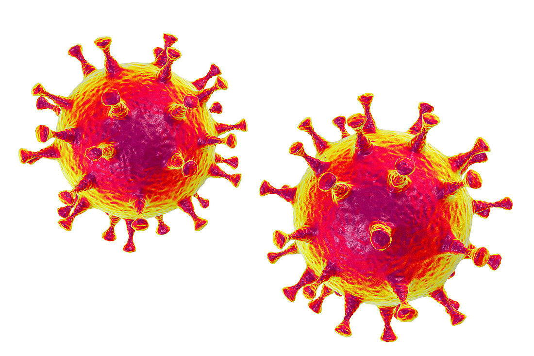 MERS coronavirus, illustration