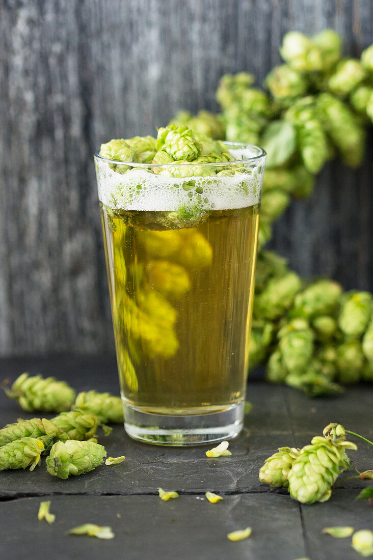 A glass of light beer with hops