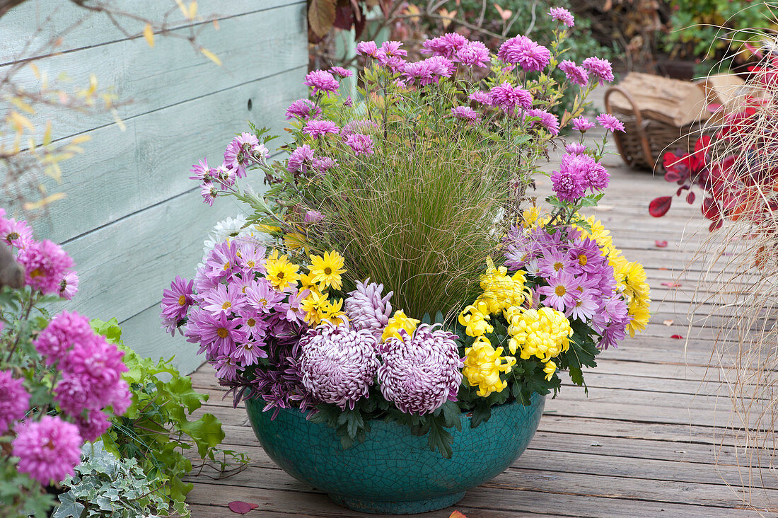 Schale mit Chrysanthemen und Gras