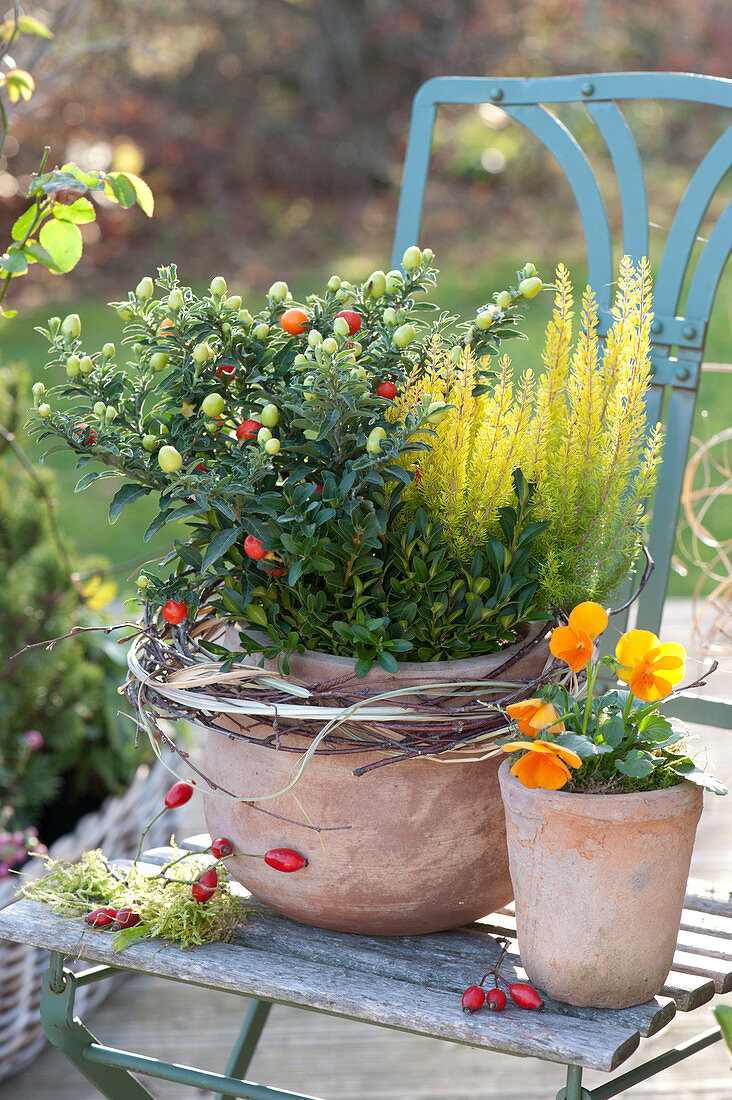 Autumn Arrangement With Coralberry And Heather