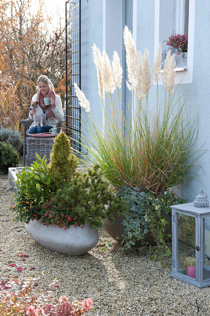 Autumn planting on gravel terrace