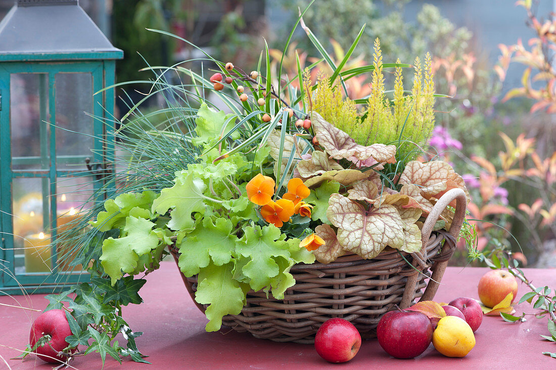 Basket With Purple Bells 'champagne' 'lime Marmalade', Heather And Grass