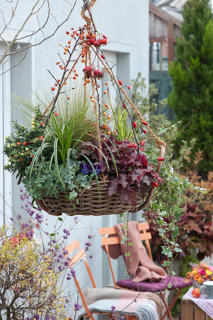 Autumn-Planted Basket With Perennials And Grasses