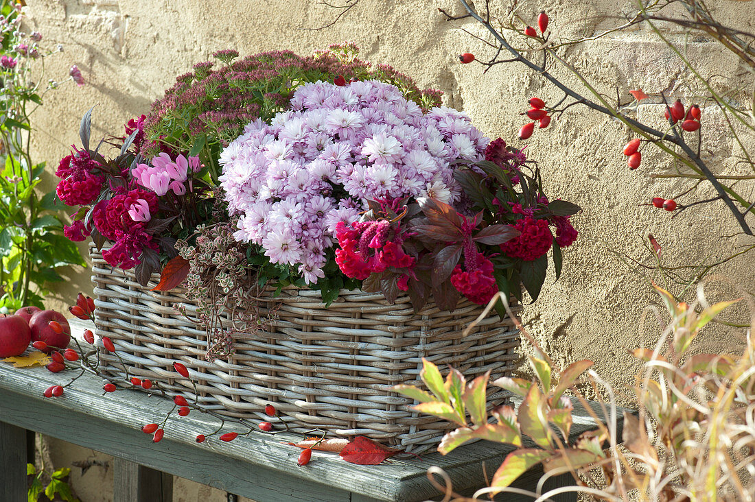 Autumn Box With Chrysanthemum, Stonecrop And Plume