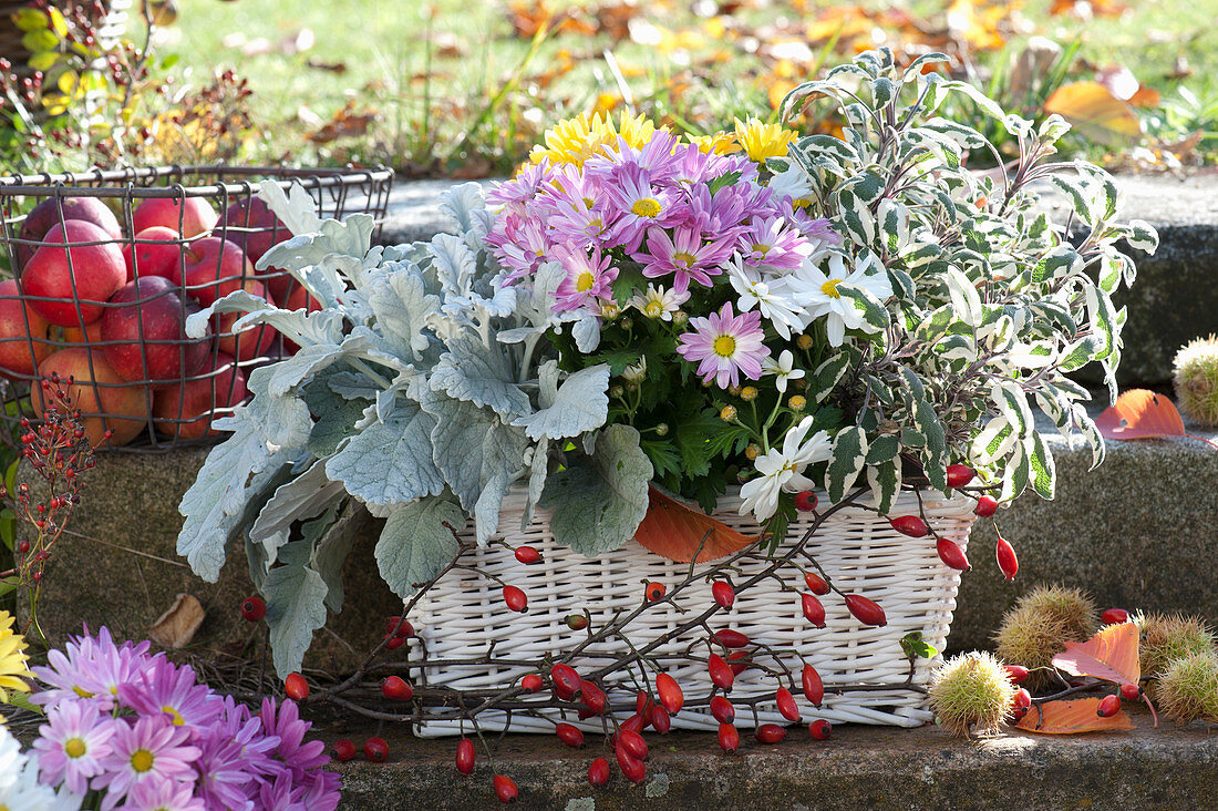 Autumn Box With Silver Leaf, Chrysanthemum And Sage