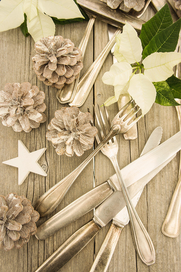 Old silver cutlery with pinecones, a wooden star and poinsettias