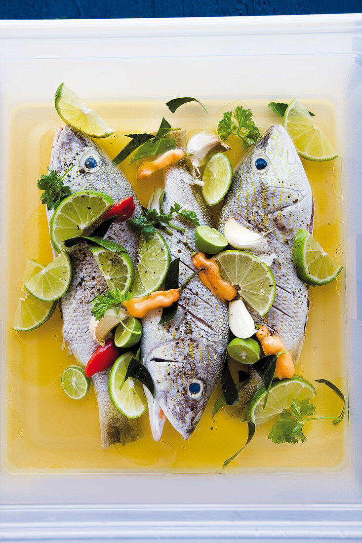 Fish in a Caribbean grill marinade with limes and lemongrass