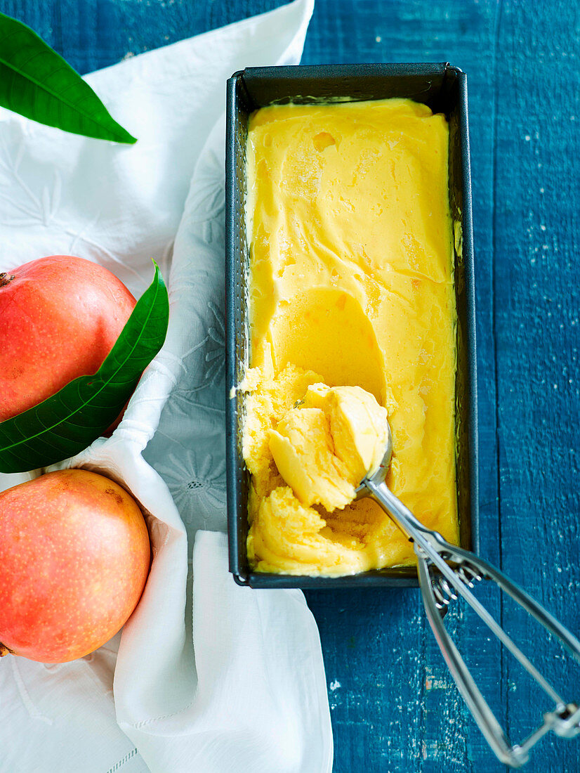 Mango-Frozen Joghurt in einer Kastenform