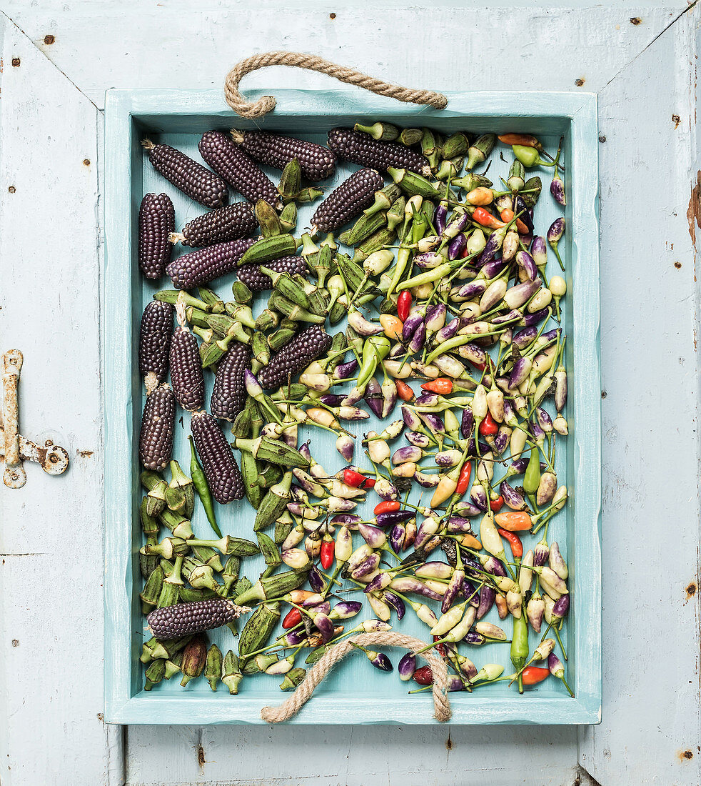 Okra, Chilischoten und schwarze Maiskolben auf blauem Holztablett