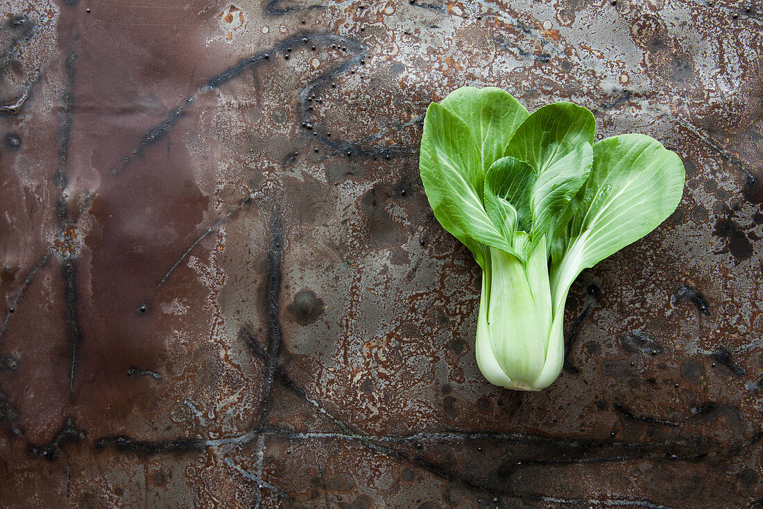 Frischer Pak Choi