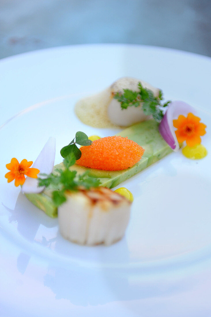 Fried scallops with carrot mousse