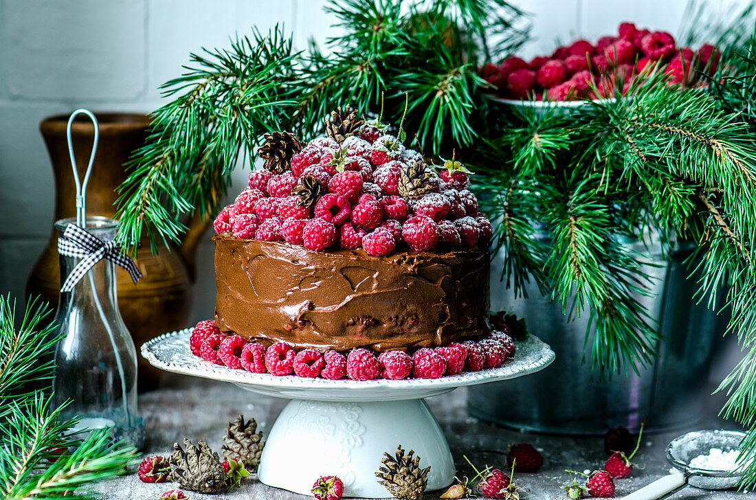 Schokoladentorte mit Himbeeren und Kiefernzweigen für Weihnachten