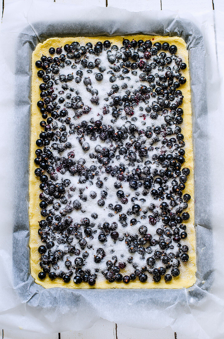 Blueberry cake (unbaked)