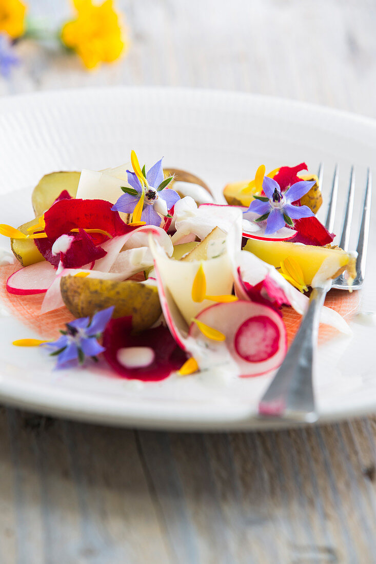 New potatoes with radishes, beetroots, kohlrabi, wine cheese, yoghurt dressing and edible flowers