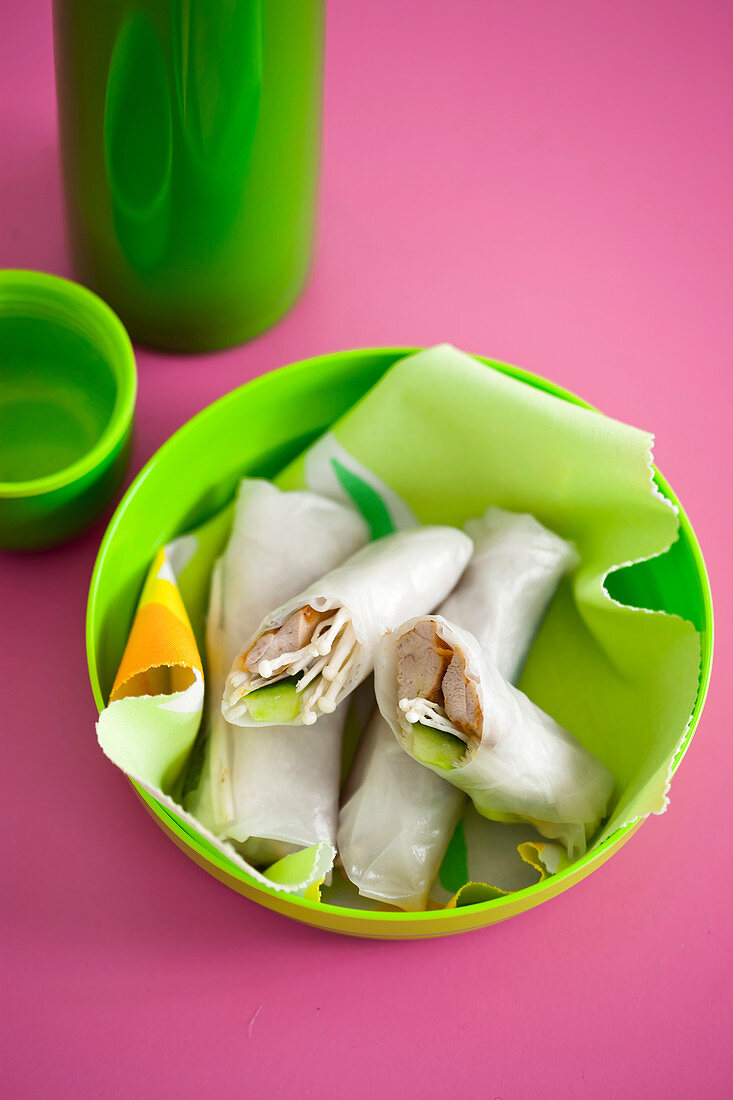 Reispapierröllchen mit Teriyaki Hähnchen und Gemüse