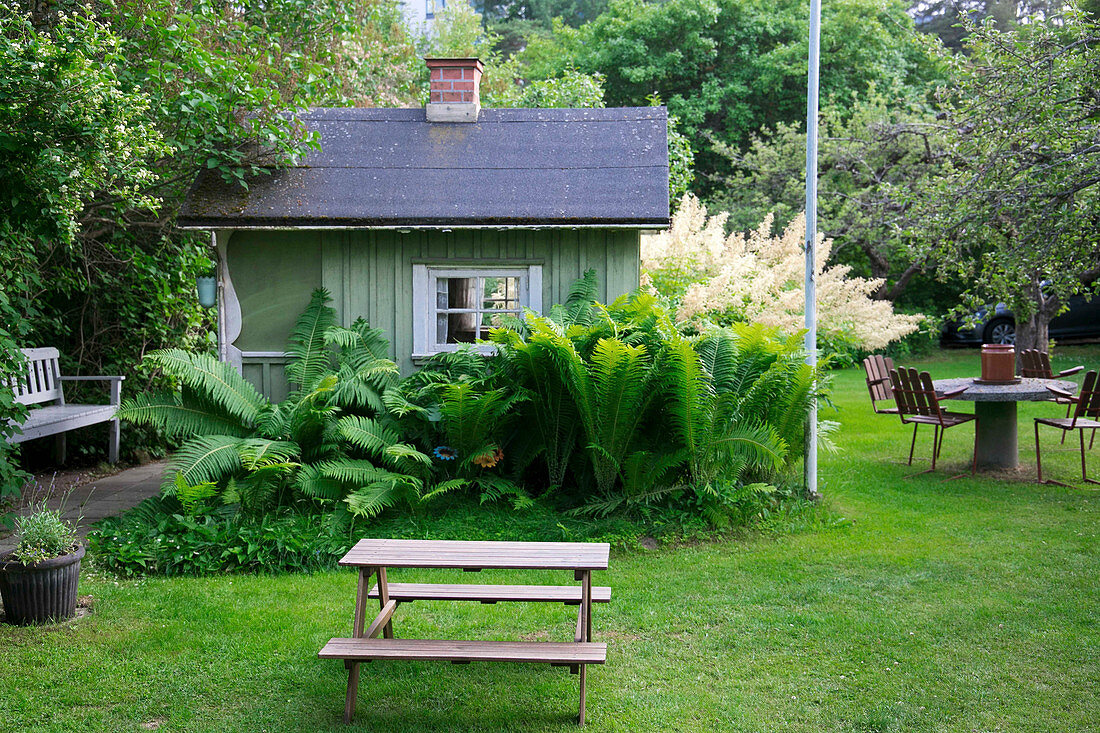 Kleines grünes Gartenhaus hinter hohem Farn im Sommergarten