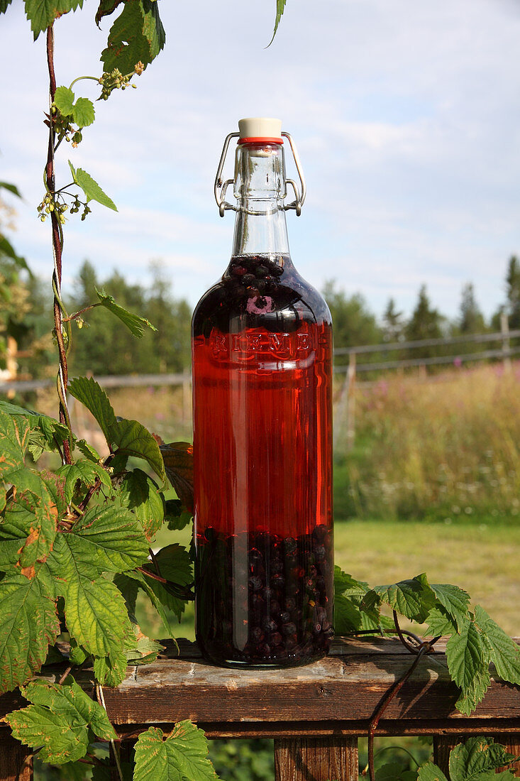 Heidelbeer-Softdrink in Flasche
