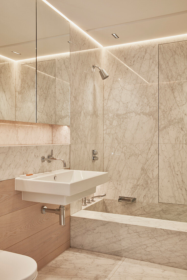 Small, marble-clad bathroom with large mirrored cabinet
