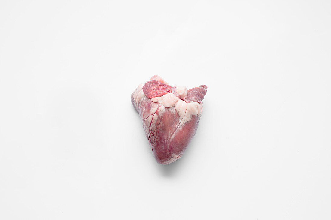 Lamb heart