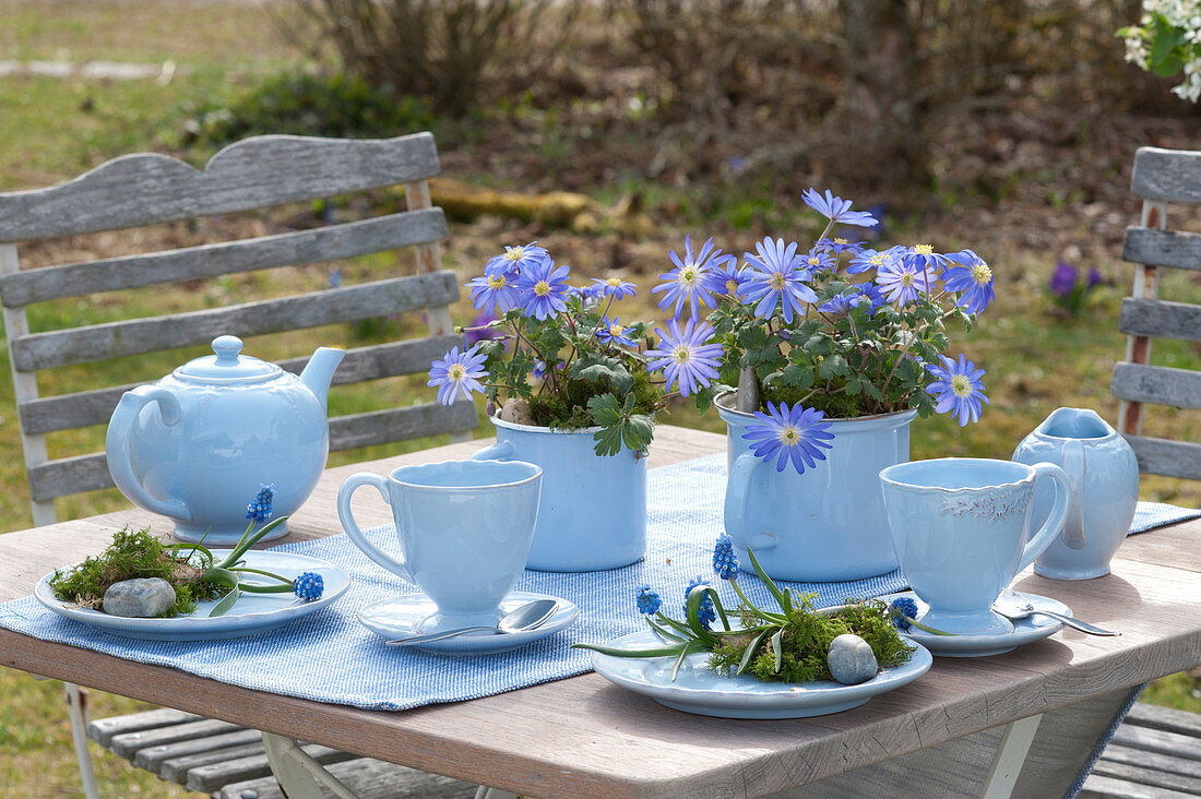Blaue Frühlings-Tischdekoration mit Anemonen