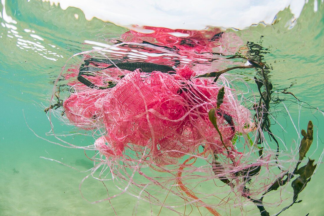 Plastic fishing nets floating in ocean