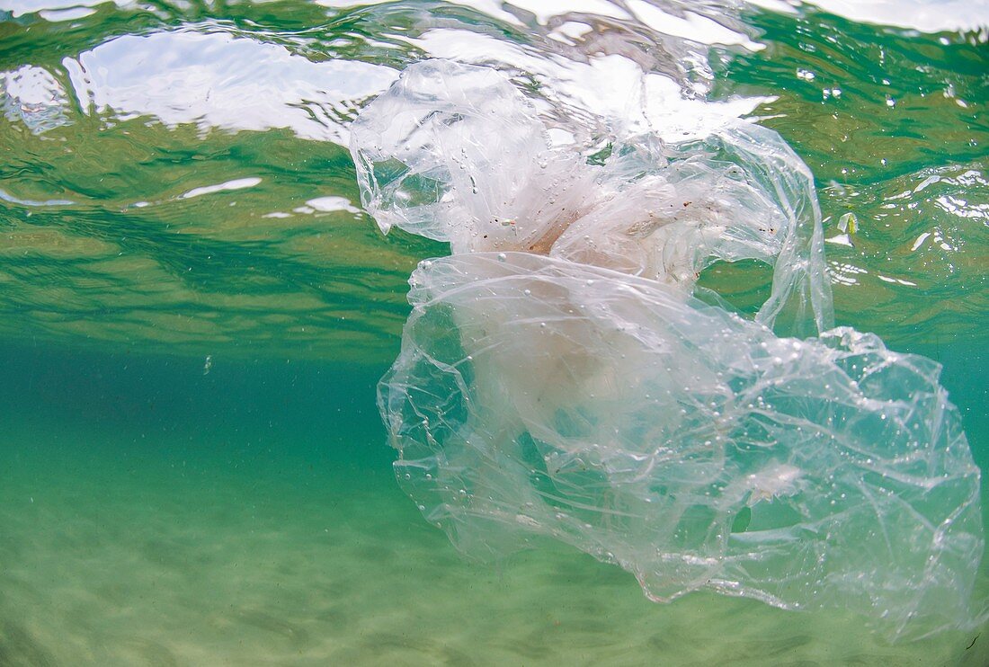 Plastic floating in ocean