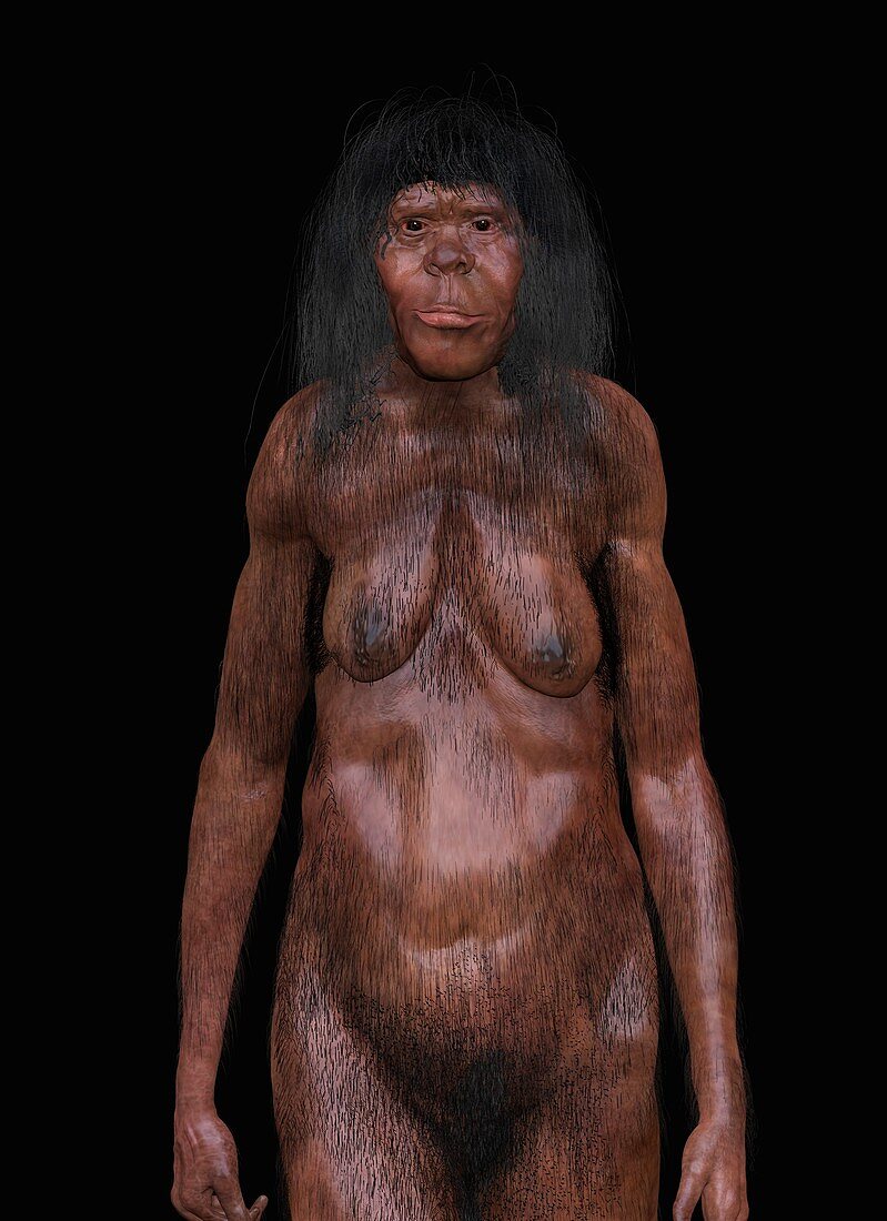 Homo erectus female, illustration