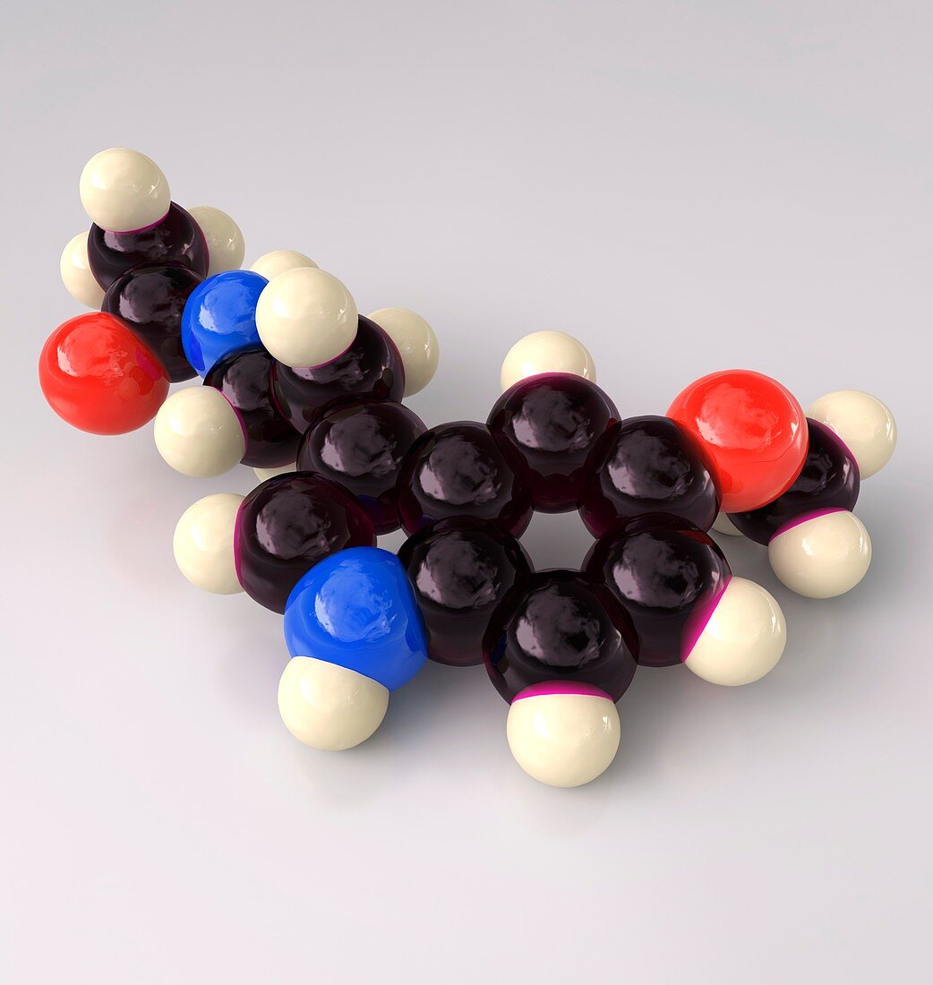 Melatonin, molecular model