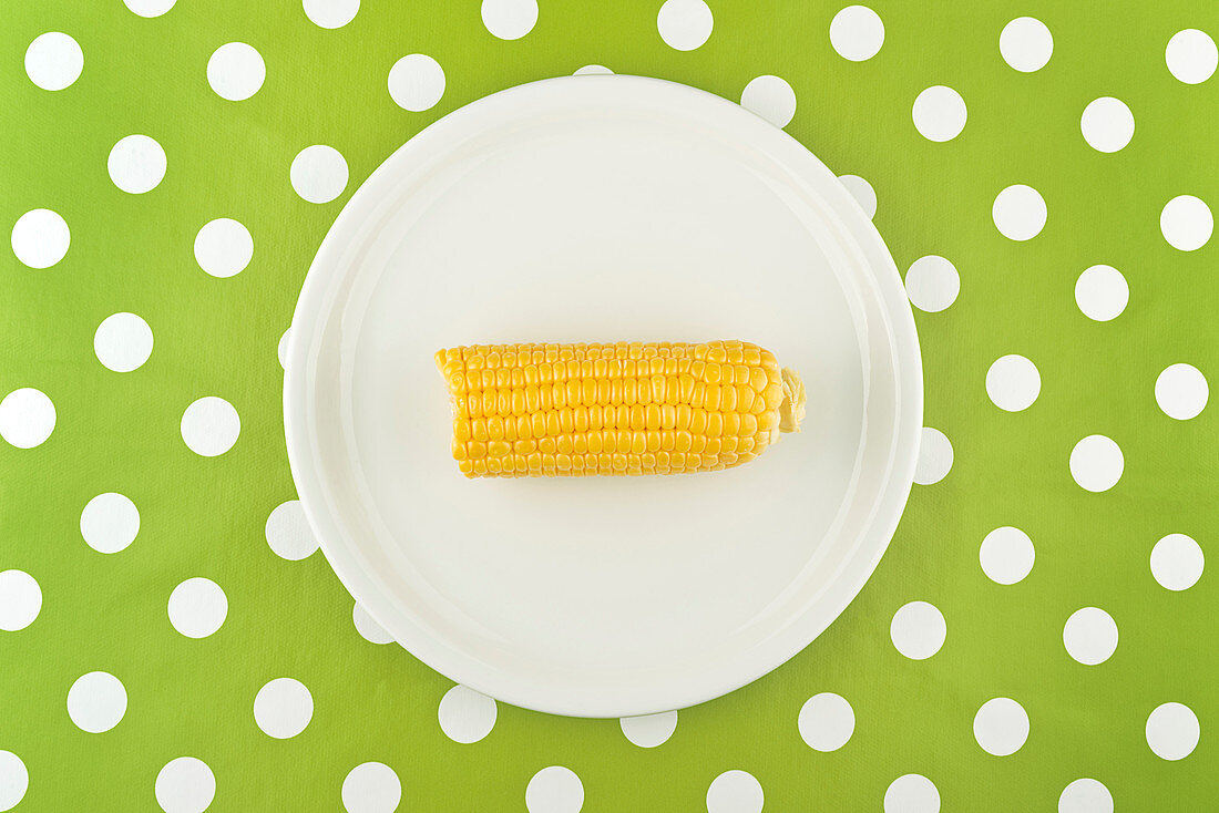 Corn cob on plate