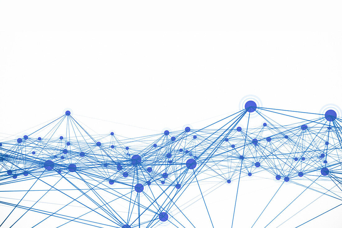 Network, illustration