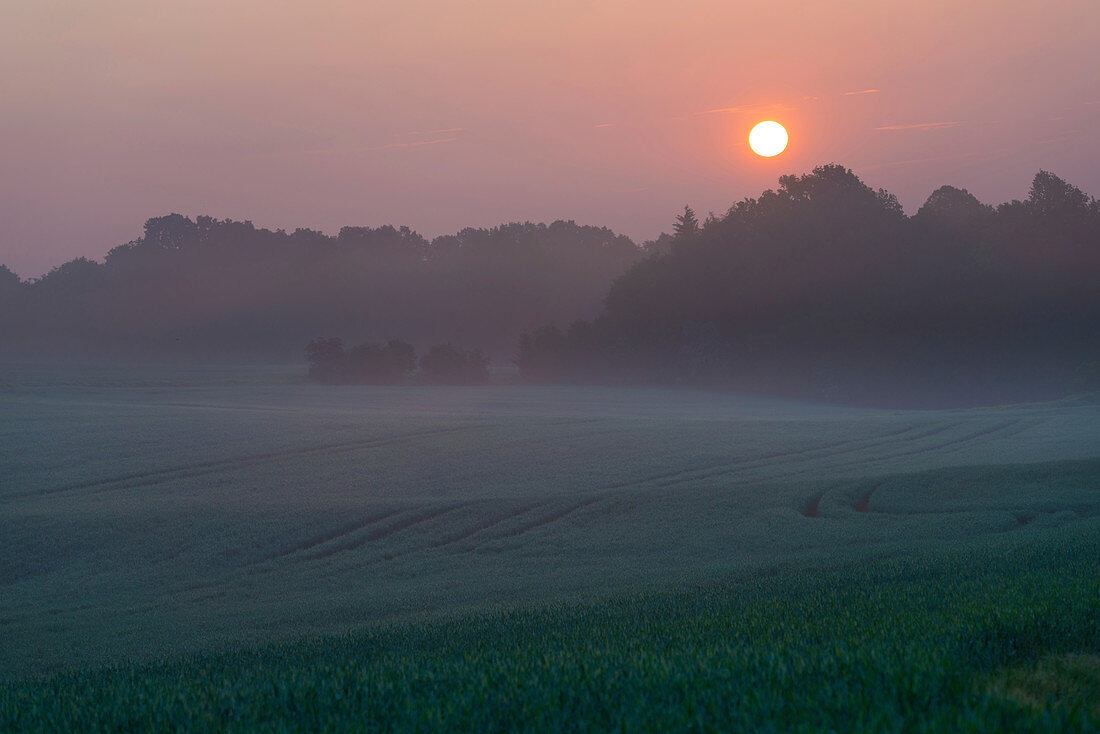 Misty rural landscape at sunrise