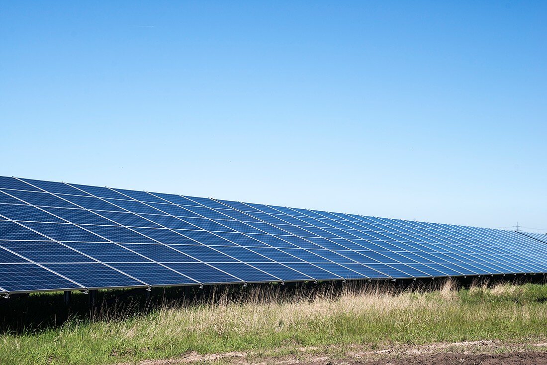 Solar panels in field