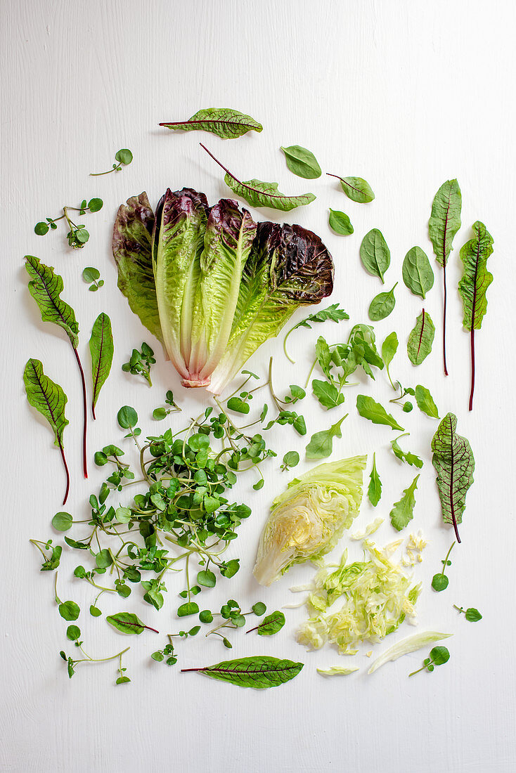 Various lettuce leaves and herbs on a white surface