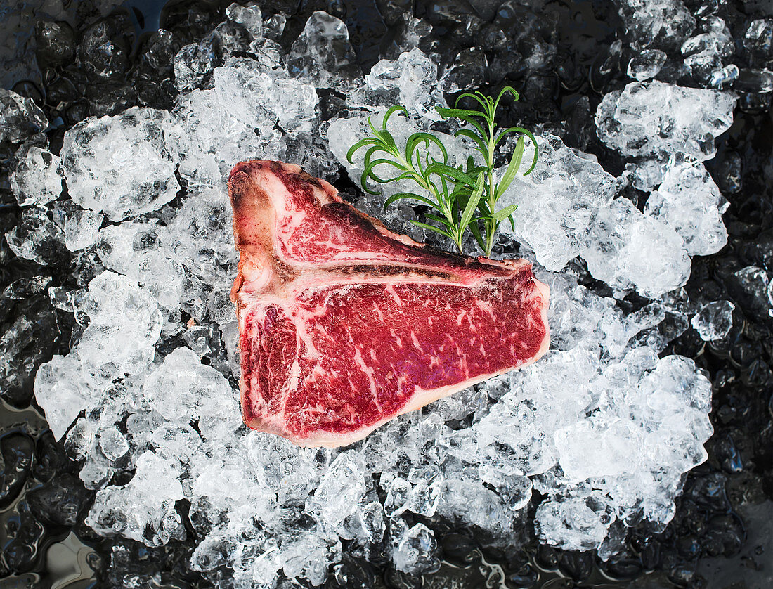 Raw fresh t-bone steak on chipped ice with rosemary