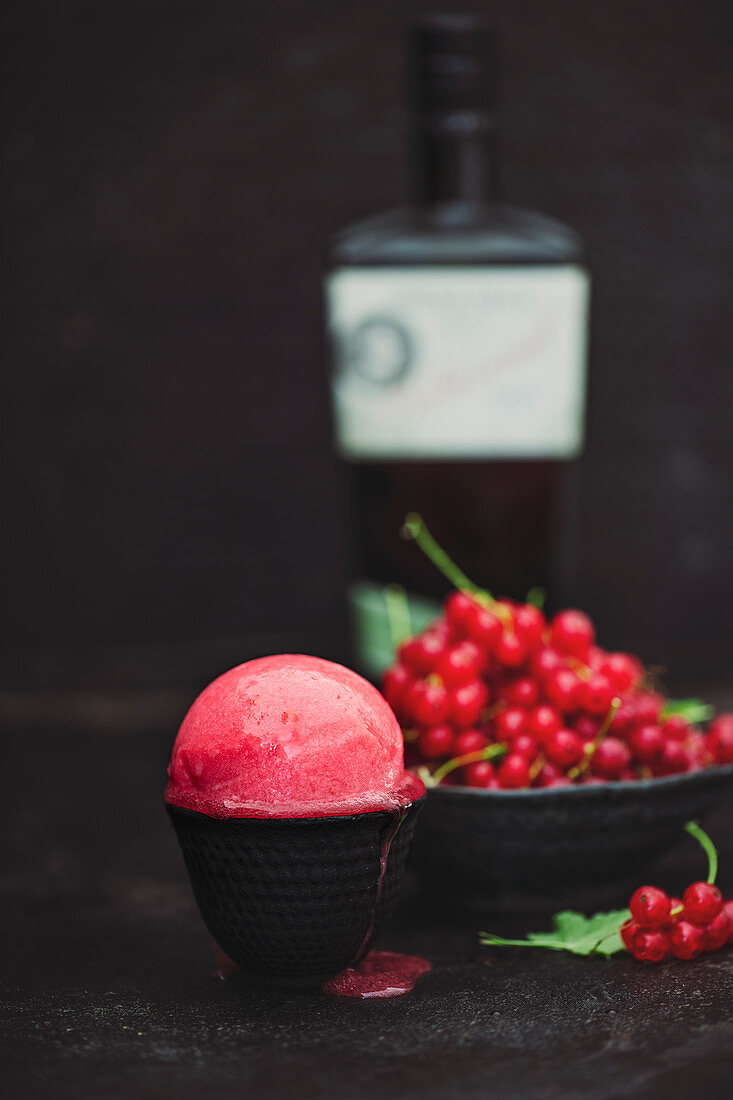 Red currant sorbet with gin