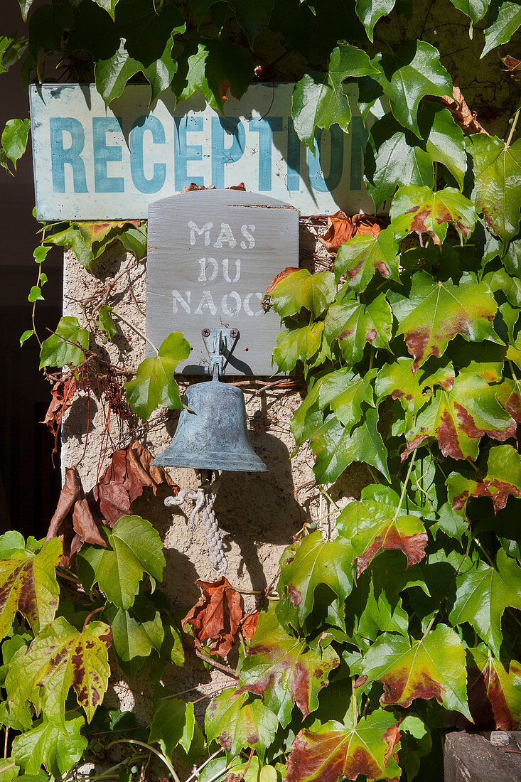 Schild an bewaschsener Fassade (Le Mas du Naoc, Cabris, Frankreich)