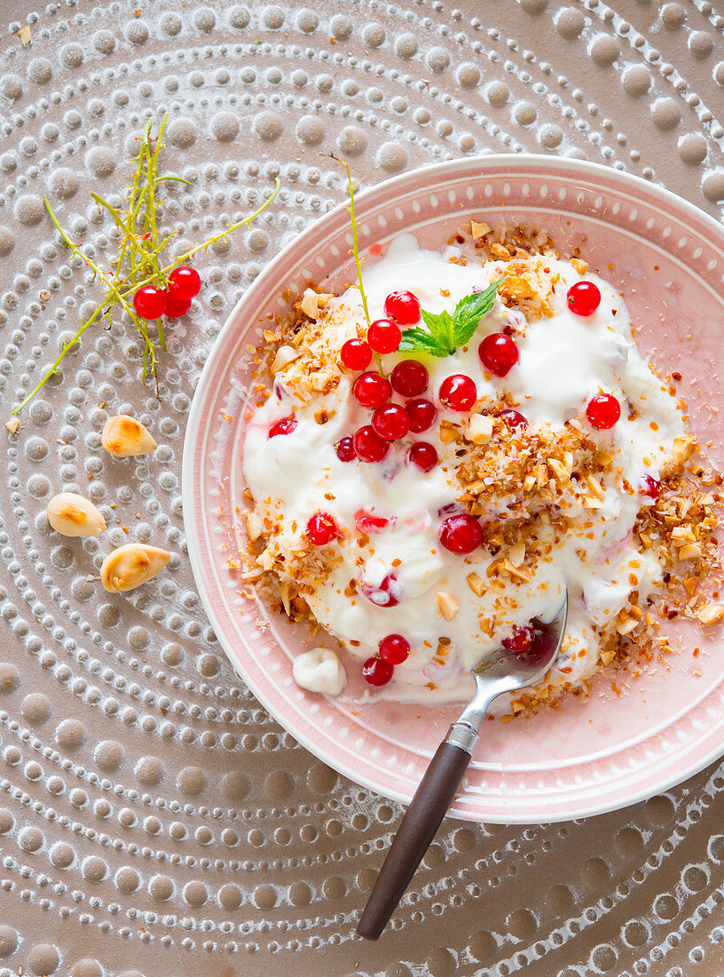 Knuspermüsli mit Joghurt und roten Johannisbeeren