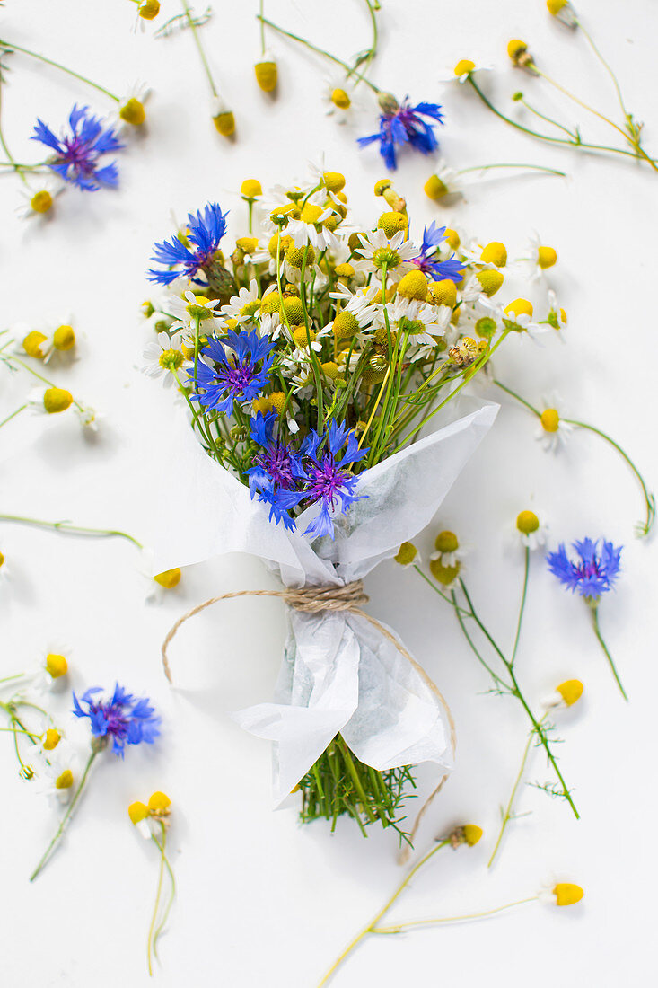 Blumenstrauss mit Kamillenblüten und Kornblumen, in Papier gewickelt