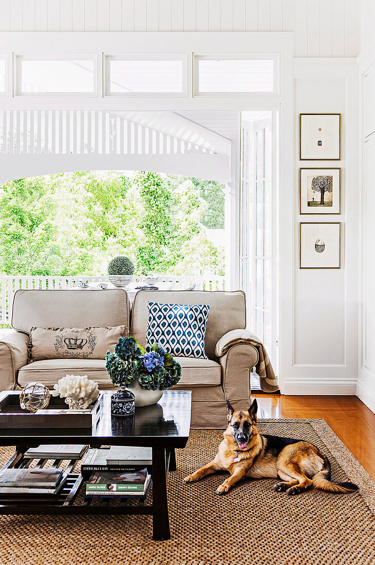 Polstersofa in Beige, Couchtisch und Hund auf Sisalteppich im Wohnzimmer