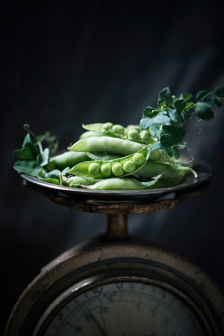 Peas and pea pods on an antique pair of scales