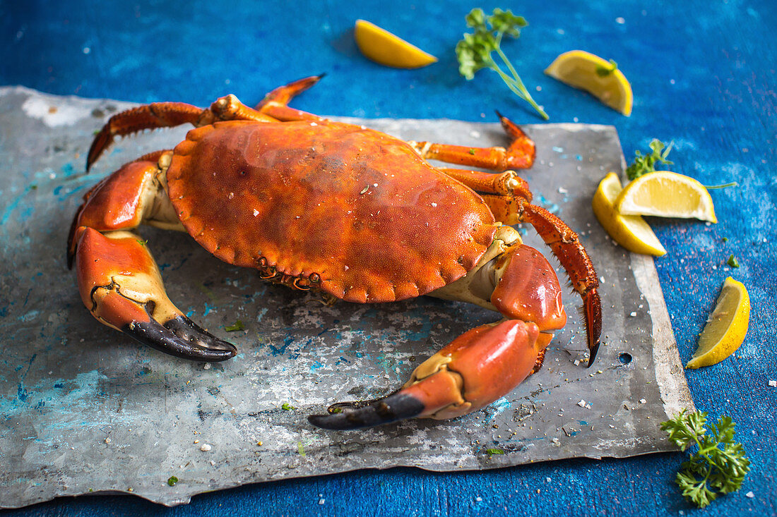 A crab, lemon wedges and parsley