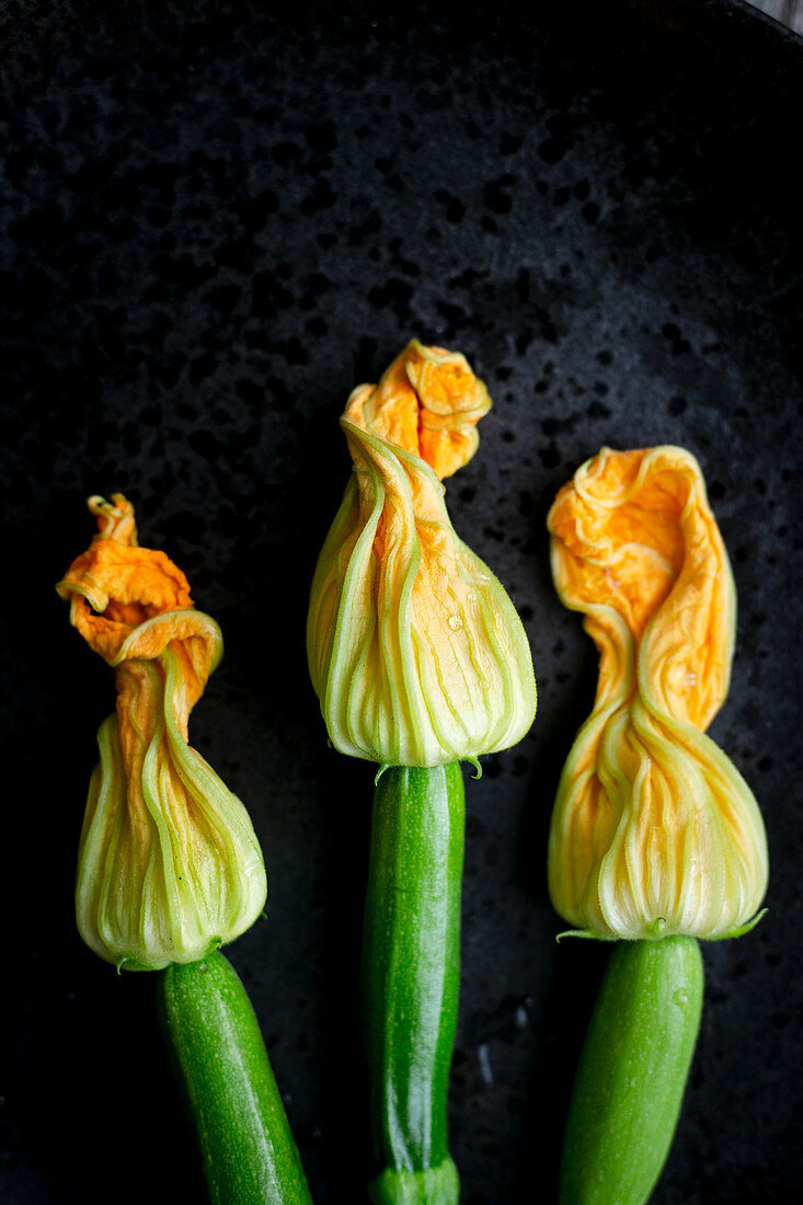 Drei Zucchiniblüten auf schwarzem Metalluntergrund