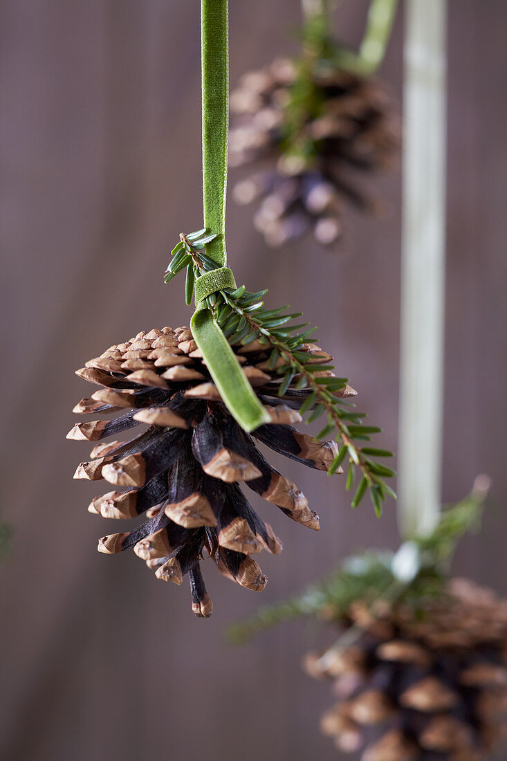 Pine cones hung from green velvet ribbons